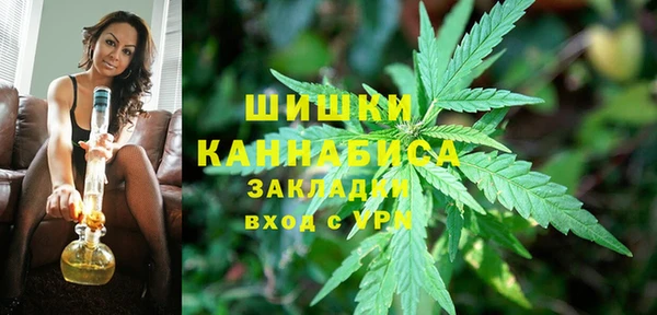 дурь Козловка