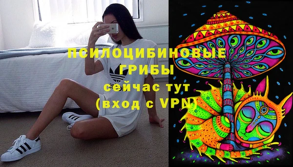 МДПВ Кодинск