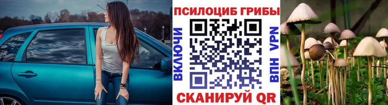 Псилоцибиновые грибы мухоморы  Купить где  Кореновск 